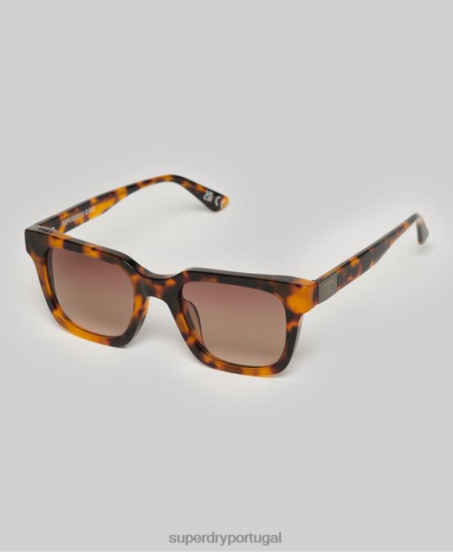óculos de sol sdr garritsen homens marrom acessórios Superdry 2208H15