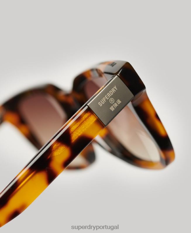 óculos de sol sdr garritsen homens marrom acessórios Superdry 2208H15