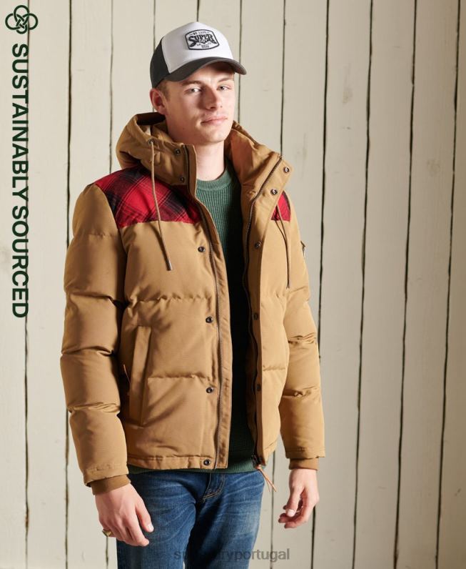 jaqueta acolchoada everest homens verde roupas Superdry 2208H4592