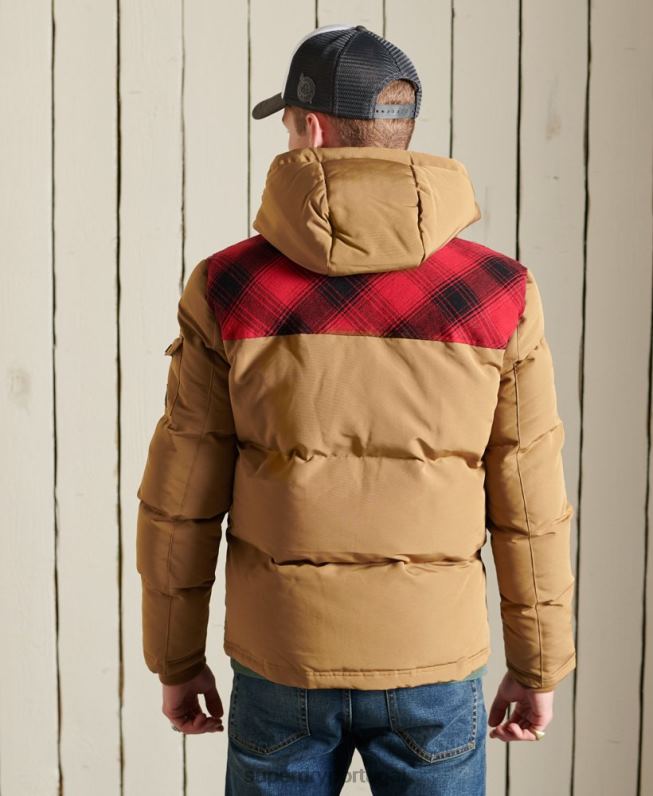 jaqueta acolchoada everest homens verde roupas Superdry 2208H4592