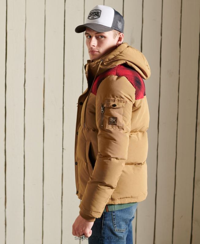 jaqueta acolchoada everest homens verde roupas Superdry 2208H4592