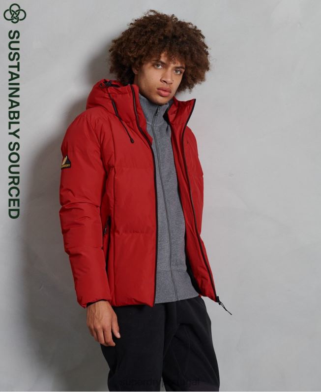 jaqueta puffer evolução homens vermelho roupas Superdry 2208H4788