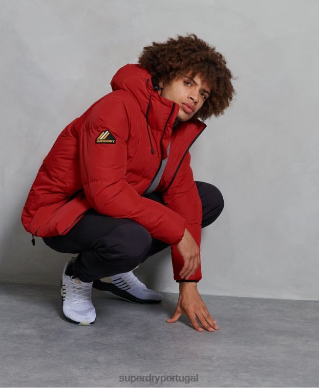 jaqueta puffer evolução homens vermelho roupas Superdry 2208H4788