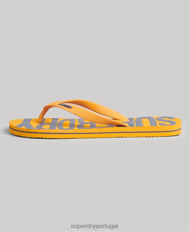 chinelos veganos homens ouro sapato Superdry 2208H1904