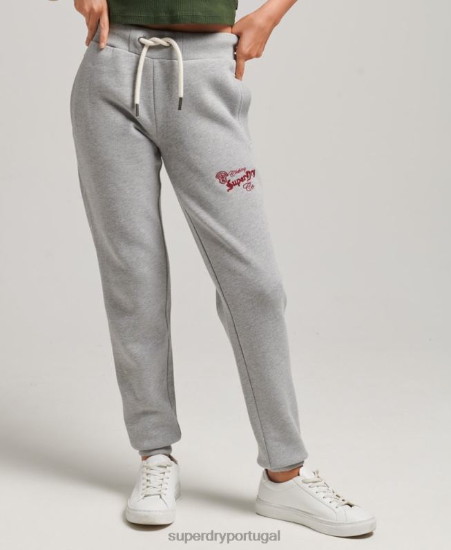 corredores de orgulho e artesanato mulheres cinza roupas Superdry 2208H3918