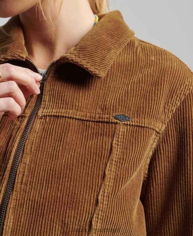 jaqueta de cordão cortado mulheres marrom roupas Superdry 2208H2016