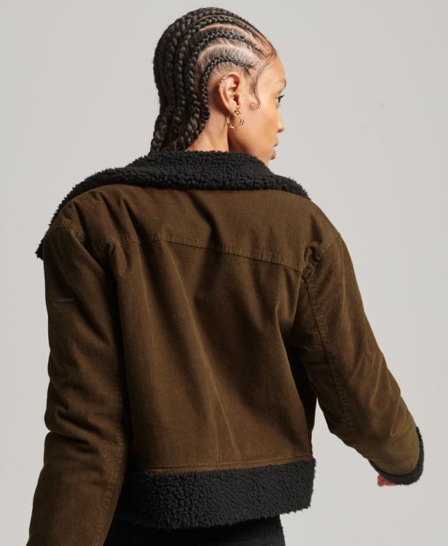 jaqueta indie forrada borg mulheres marrom roupas Superdry 2208H5438