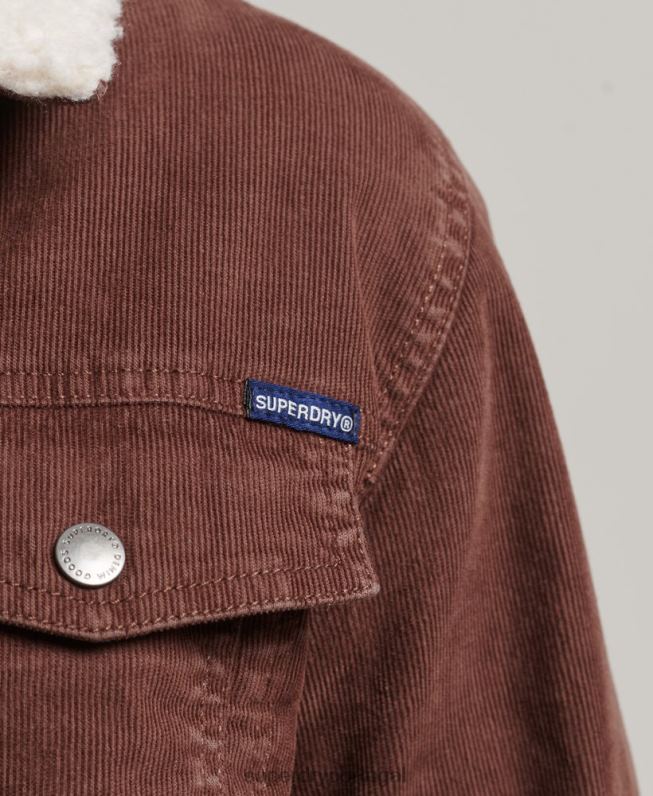 jaqueta trucker cordão sherpa mulheres marrom roupas Superdry 2208H3548