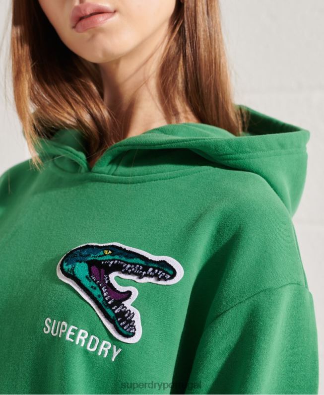 moletom oversized franquia moderna mulheres verde roupas Superdry 2208H6052