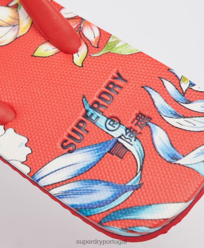 chinelos vintage clássicos mulheres vermelho sapato Superdry 2208H4400